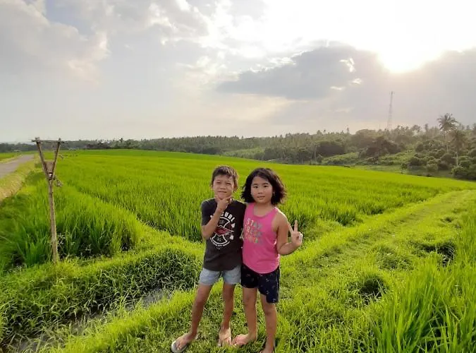 Natural 1 Selemadeg